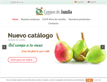 Tablet Screenshot of camposdejumilla.com